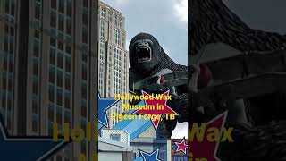 King King on top of Hollywood Wax Museum in Pigeon Forge, TN #short #kingkong #pigeonforge