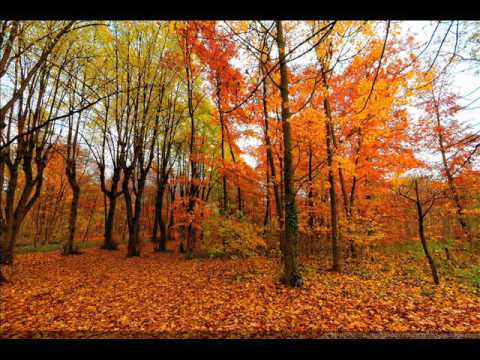 Jean Marie K @ Radio FG 04-2007