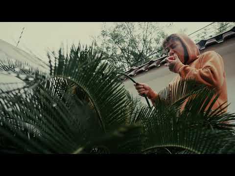 Kurt Sutil, Keys Carvalho, Bêonin - Faz Bem Pra Mim Prod. JXX$ (Visualizer)