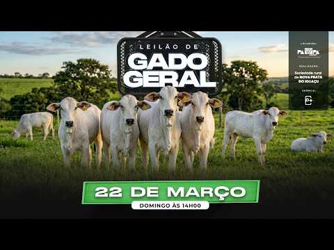 Leilão de Gado Geral, NOVA PRATA DO IGUAÇU/PR - 22/03/2026 14:00h