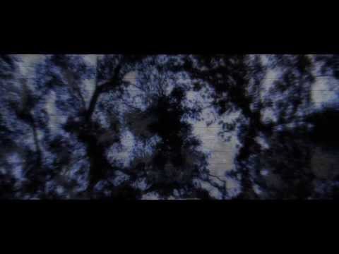 SINK TO SEE - CALLING (TRAILER)
