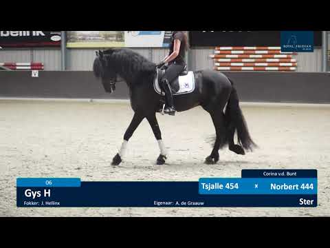 Voorrijdag Centraal Onderzoek | 16-7-2021