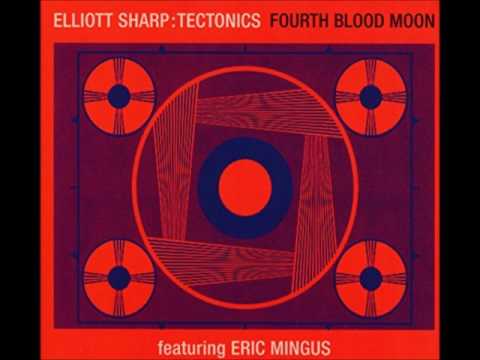 Elliott Sharp Tectonics feat. Eric Mingus - Mr. Trouble