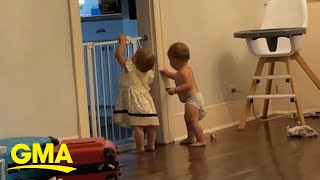 Clever toddlers sneak through baby gate l GMA