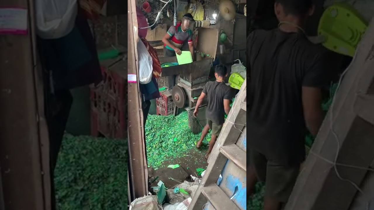 Grinder machine plastic recycling