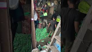 Grinder machine plastic recycling