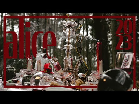 Medimeisterschaften 2023 Bonn - Alice im Bonnderland