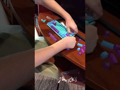 Ducky One 2 Mecha Mini Frozen llama V2 unboxing!