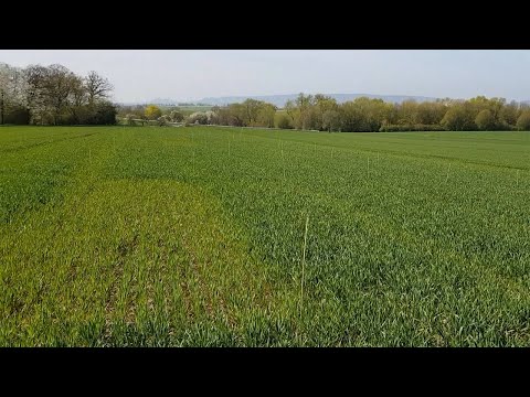 Ackerbauforum - Düngung im Jahr 2020