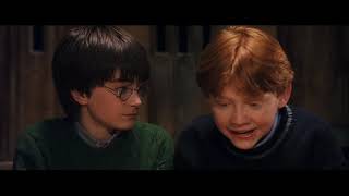 Harry Potter and the Sorcerer's Stone (2001) - Is That a Dragon?