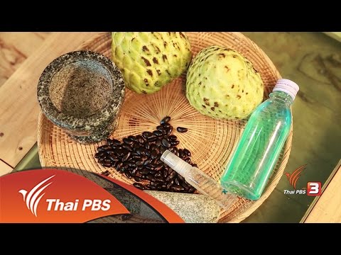 Aphrodisiacs ความคิดเห็น ผลไม้เพิ่มขึ้นแรง