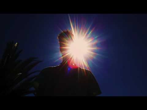 PelySayon - Pajaro mundano