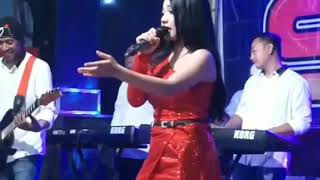 Download lagu story'wa lagu dangdut cewek cantik hot goyang nya mp3 Download lagu story'wa lagu dangdut cewek cantik hot goyang nya mp3