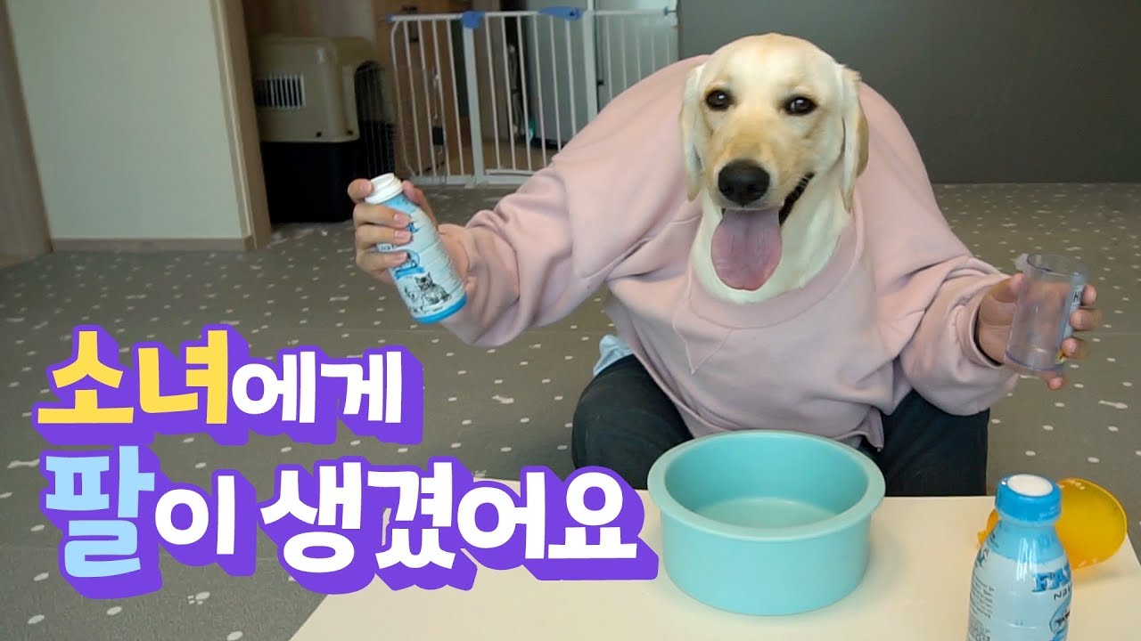 소녀에게 팔이 생겼어요 ! ㅋㅋㅋㅋ 소녀의 사료 먹방 ㅋㅋㅋㅋㅋ