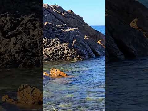 Forster Beach Views Nsw Australia