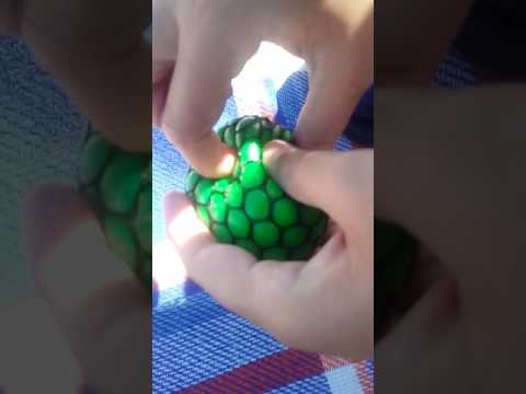 Maka paka zabawki z chinczyka ( czwartek )