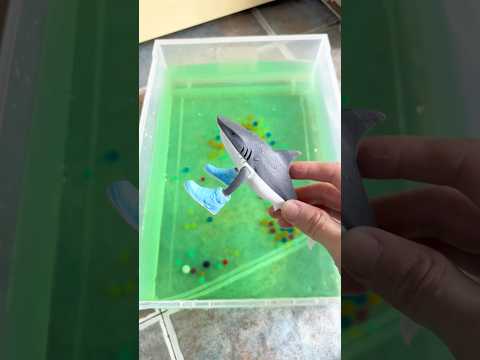 #brainrot #italianbrainrot #3dprinting #miniature #figures #underwater #compare #phase #change