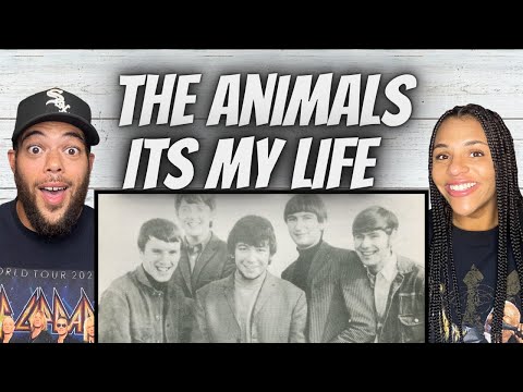 SO COOL!| FIRST TIME HEARING The Animals - It's My Life REACTION