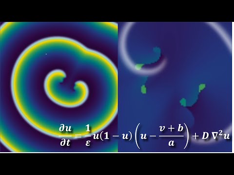 Spiral Waves in Excitable Medium