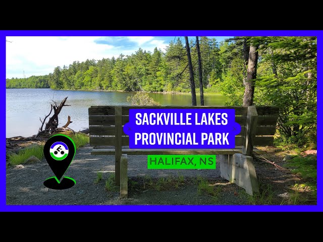 Trail Video Preview