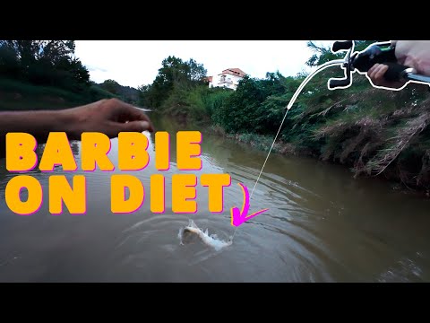 Crank Up Your Summer Barbel Fishing Game