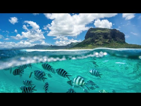 MAURITIUS - FEW MOMENTS IN PARADISE