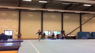 Jesine i ilden under Fig nr 1, Asker