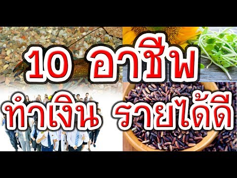 เห็ดและความแข็งแรง ยาเสพติดทั้งหมดเพื่อเพิ่มความแข็งแรงของร้านขายยา