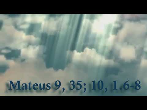 Evangelho do Dia 05/12/2020