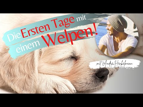 Die ersten Tage mit unserem Welpen! Profi-Tipps/Welpenerziehung!