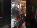Central Park Carousel
