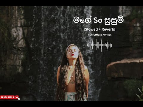 Mage So Susum (මගේ සෝ සුසුම්)[Slowed + Reverb]  @RahalAlwisOfficial