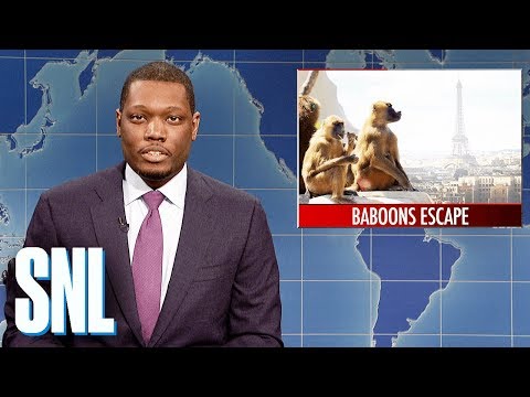 Weekend Update on Baboons Escaping Paris Zoo - SNL