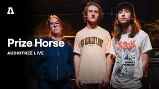 Prize Horse on Audiotree Live (Full Session)