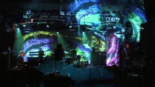 Neil Finn - Divebomber (live in Auckland, 2014)