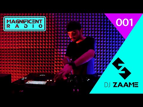 Magnificent Radio mini mix 001 | EDM Mix 2021 | Ft. DJ Snake, Alok, Don Diablo, Garmiani, Astronomia