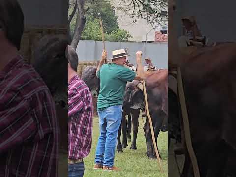HOJE ! O ENCONTRO DE CARREIROS  CACHOEIRA DE MINAS-MG