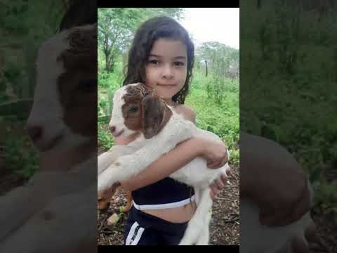 Janiele história que ela mesmo mostra minha sobrinha sítio são Caetano Parari Paraíba