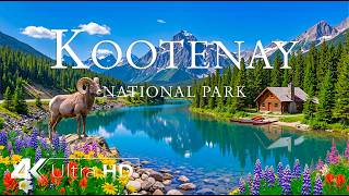 Kootenay National Park 4K 🇨🇦🍂 Canadian Rockies, Golden Forests & Breathtaking Mo