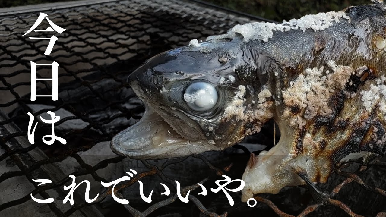 ニジマスでルアー釣りの特訓じゃい。