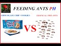 EPISODE 7 CHIPS AHOY CHOCOLATE CHIP COOKIE VS FIRE ANT