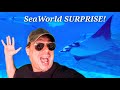 REALLY At SeaWorld SURPRISE Not What You Think