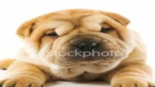 Me singing Brick &amp; Lace Take Me Back