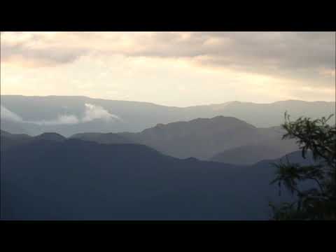 Canción para Carito - Antonio Tarragó Ros