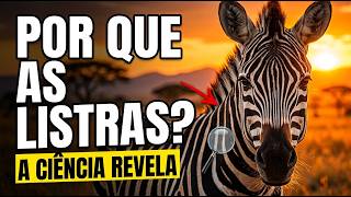 Por Que as ZEBRAS Têm LISTRAS? A Ciência Finalmente Revelou (e Não É Camuflagem!)