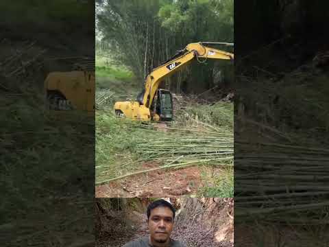 ป่าไผ่หนาๆ แป๊บเดียวเกลี้ยง! เบิ่งพลังหัวคีบตัดไม้👍#รถแม็คโคร #หัวคีบตัดไม้ #เครื่องจักรกลหนัก