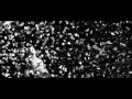 Up With The Birds - Coldplay (Fan Video)