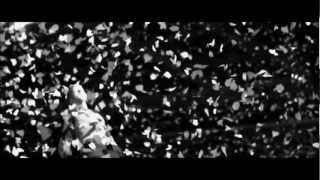 Up With The Birds - Coldplay (Fan Video)