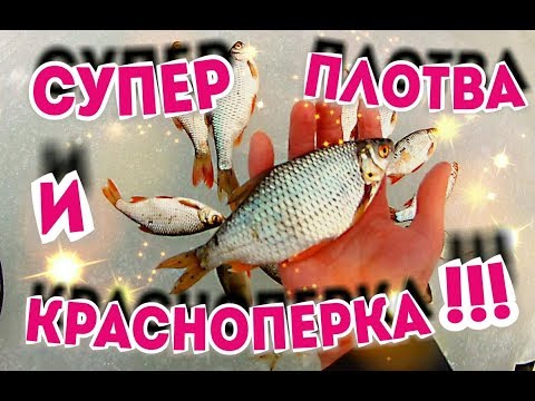 ХОРОШАЯ ПЛОТВА И КРАСНОПЕРКА!!!!ПРОМОК ПОД ДОЖДЕМ :(