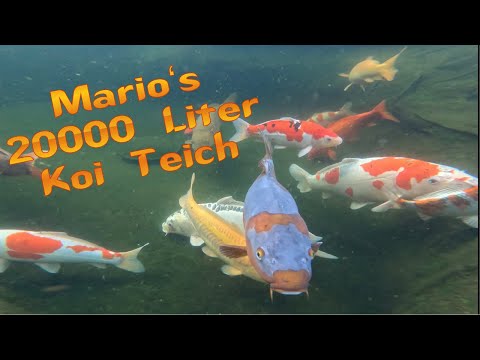 Das Vater und Sohn Projekt. Der 20000 Liter Koi Teich von Mario & Max!